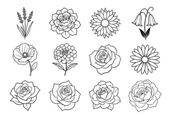 Flowers liner art set. Flowers vector bundle isolated on white background