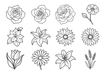 Flowers liner art set. Flowers vector bundle isolated on white background