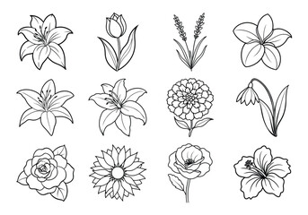 Flowers liner art set. Flowers vector bundle isolated on white background