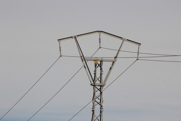 Electric pole with line wire