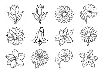 Flowers liner art set. Flowers vector bundle isolated on white background