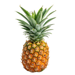 Fototapeta premium Fresh Ripe Pineapple with Green Spiky Leaves Isolated on White Background – Tropical Exotic Fruit for Healthy Eating and Refreshing Summer Vibes