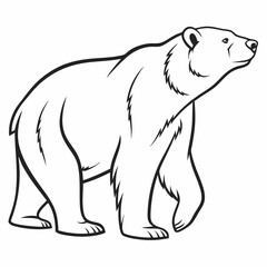 Simple a Bear line art vector design white background