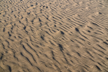 Sand in dunes, Gran Canaria, Spain.