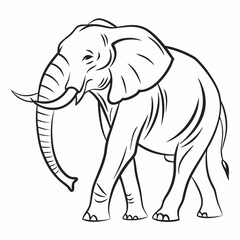 Simple a Elephant line art vector design white background
