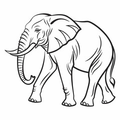 Simple a Elephant line art vector design white background