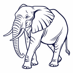 Simple a Elephant line art vector design white background