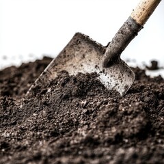 Shovel digging dark soil, white background, gardening