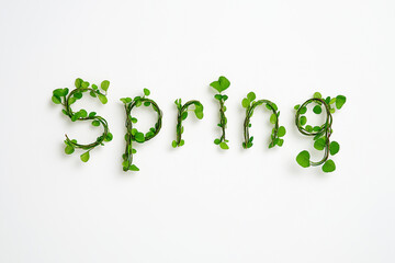 Spring word forming made from green leaves and branch isolated on white background.