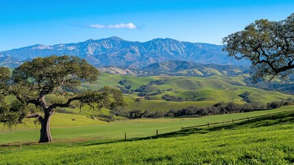 Majestic Mountain Vista: Serene Landscape of Rolling Hills and Ancient Oaks