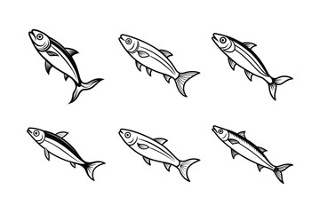sardine fish design, labeled line art vector illustration.