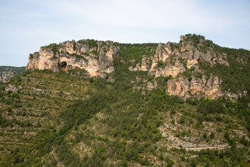 Gorges de la Jonte, Parc naturel régional des grands causses, 48, Lozère, Région Languedoc Roussillon, France