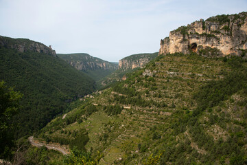 Gorges de la Jonte, Parc naturel régional des grands causses, 48, Lozère, Région Languedoc Roussillon, France