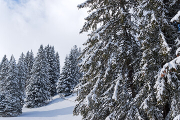 Scenic snowy landscape at Swiss ski resort Flumserberg on a winter day. Photo taken January 29th, 2025, Flumserberg, Switzerland.