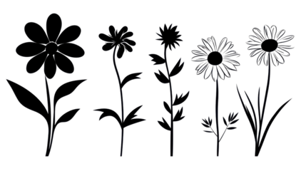 black and white flowers isolated on white background 