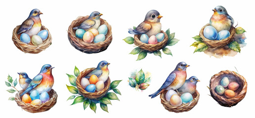 watercolor set with birds and eggs in nests, nesting party collection