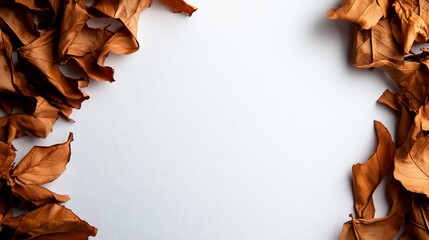 Autumnal Frame: Dried Leaves on White Background