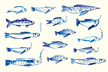 Crayon hand drawn set of various fishes. Doodle shapes. Cute sea pattern. Marine kids school background. Chalk sketch elements on white background. Vector illustrations