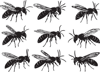 Set Bees. Hand drawn vector illustration	