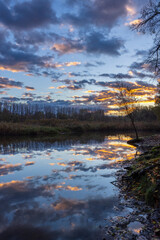 Fototapeta premium Gemenc, unique forest between Szekszard and Baja, Dunaj-Drava National Park, Hungary