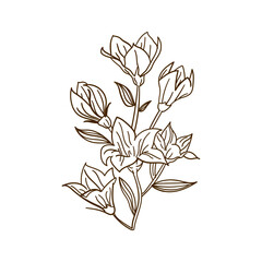  A minimalistic single floral arrangement in a delicate line art style. Perfect for botanical-themed designs, wedding invitations, and decorative elements.