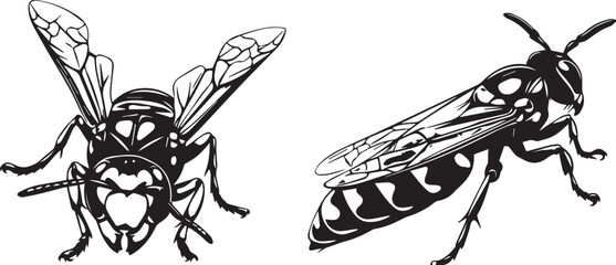 Set Bees. Hand drawn vector illustration	