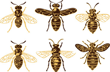 Set Bees. Hand drawn vector illustration	