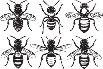 Set Bees. Hand drawn vector illustration	