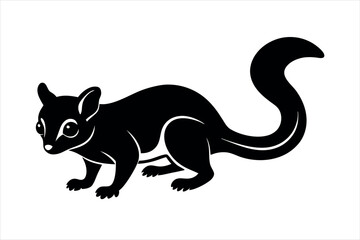 Sugar Glider 