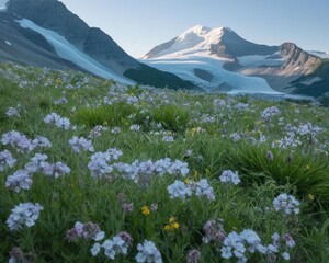 Blooming Meadow Below Glacial Peaks
