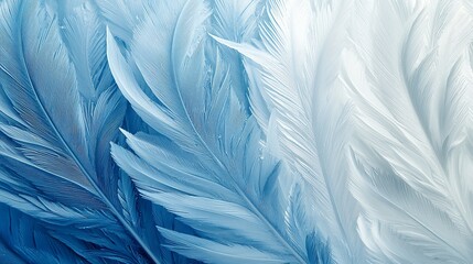 Soft blue and white feather texture background.