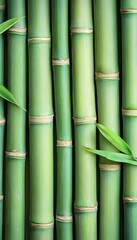 Obraz premium Green Bamboo Stalks, a Natural Background Texture. Tranquil and Serene Natural Image.