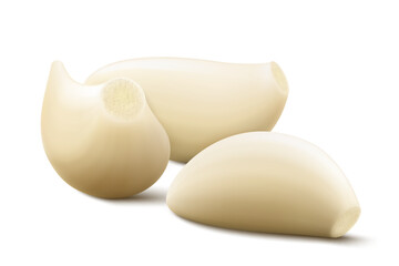 Garlic clove isolated on a white background. Vegetable and spice ingredient, peeled garlic cloves for cooking and healthy nutrition or spice and condiment product package design. Realistic 3D vector