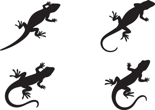 Variant style of lizard silhouette set, flat lizard vector illustration, black color isolated on a white background.