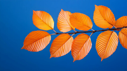 Obraz premium Autumn branch with orange leaves against a blue sky; perfect for fall-themed designs