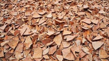 Vintage terracotta pottery shards with weathered surfaces   character in broken pieces