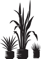 indoor plant tree victor design isolated on the white background.