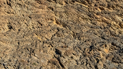 Close-up of textured rocky surface, illustrating geological formations and natural erosion, ideal for Earth Science and environmental education concepts