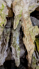 Intricate stalactites in a dimly lit cave symbolize nature's slow creation process, making it ideal for Earth Day themes  stopica pecina