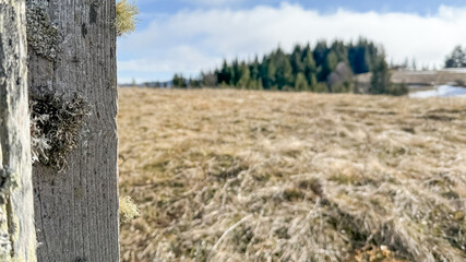 Fototapeta premium A weathered wooden post stands in a serene rural landscape, symbolizing rustic charm and tranquility in early spring