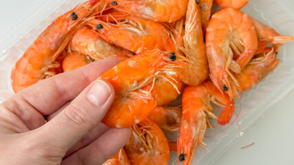 A hand holding fresh shrimp in a container, illustrating the concept of seafood preparation for festive holiday meals