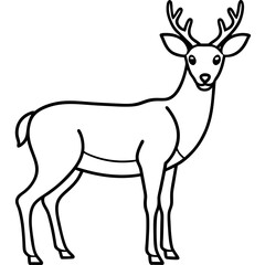 Deer Silhouette in Simple Line Art
