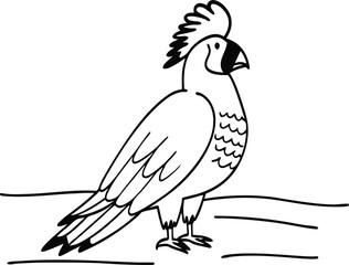 bird vector image 