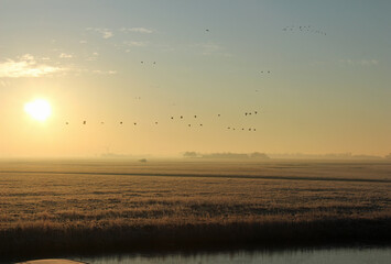 sunrise over the river