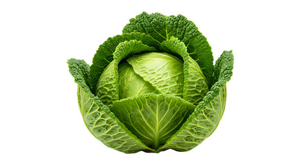 Obraz premium Fresh Head of Green Cabbage with Tight Leaves