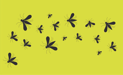 Dengue mosquito mole malaria insect poster banner concept. Vector flat graphic design illustration