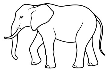 Obraz premium Elephant Outline Vector Art Design
