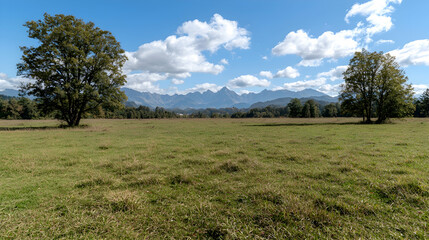 Mountain View Sunny Meadow, Trees, Distant Peaks