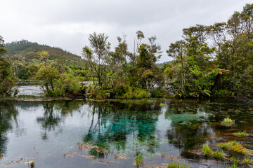 Te Waikoropupu Springs in New Zealand