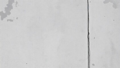 Fototapeta premium close up view of light gray surface with noticeable crack running vertically down center surface shows signs of age and wear